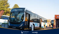 SABOA - Buses