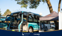 SABOA - Buses